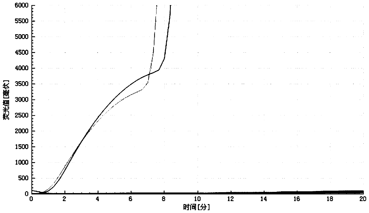 RT-RAA detection method for avian infectious bronchitis virus