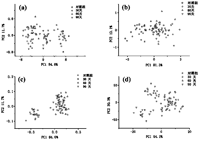 Damage duration detection model of oriental arborvitae suffering from decayed dry pests based on electronic nose and application thereof