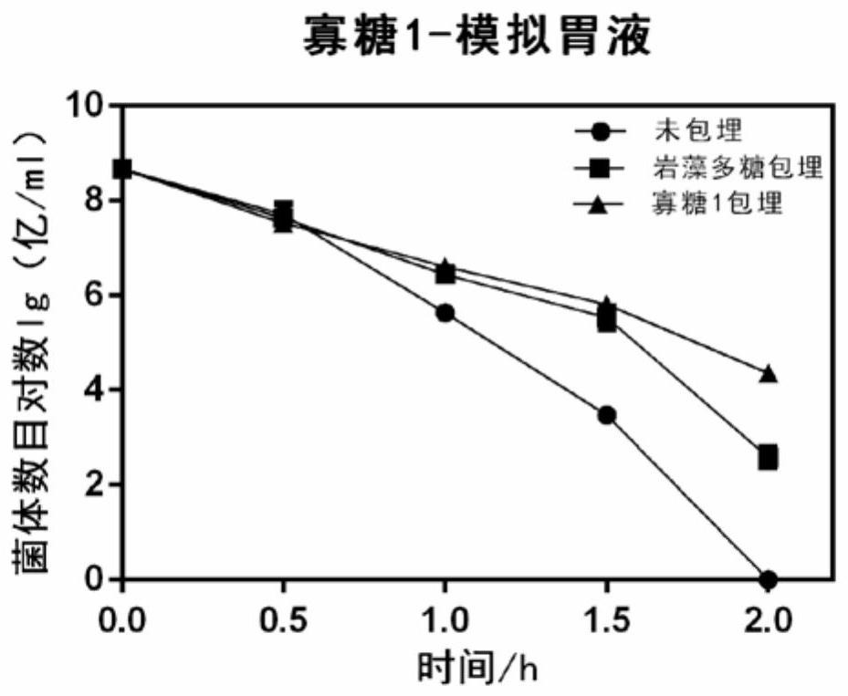 Application and method of fucoidan and its hydrolyzed oligosaccharides in the preparation of probiotic protective agent