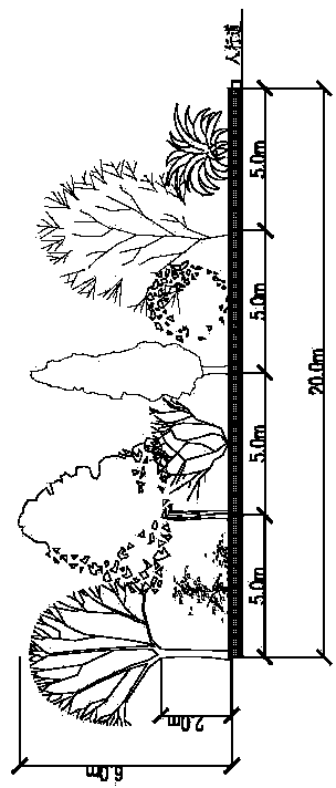 A vegetal green belt for urban road traffic noise reduction