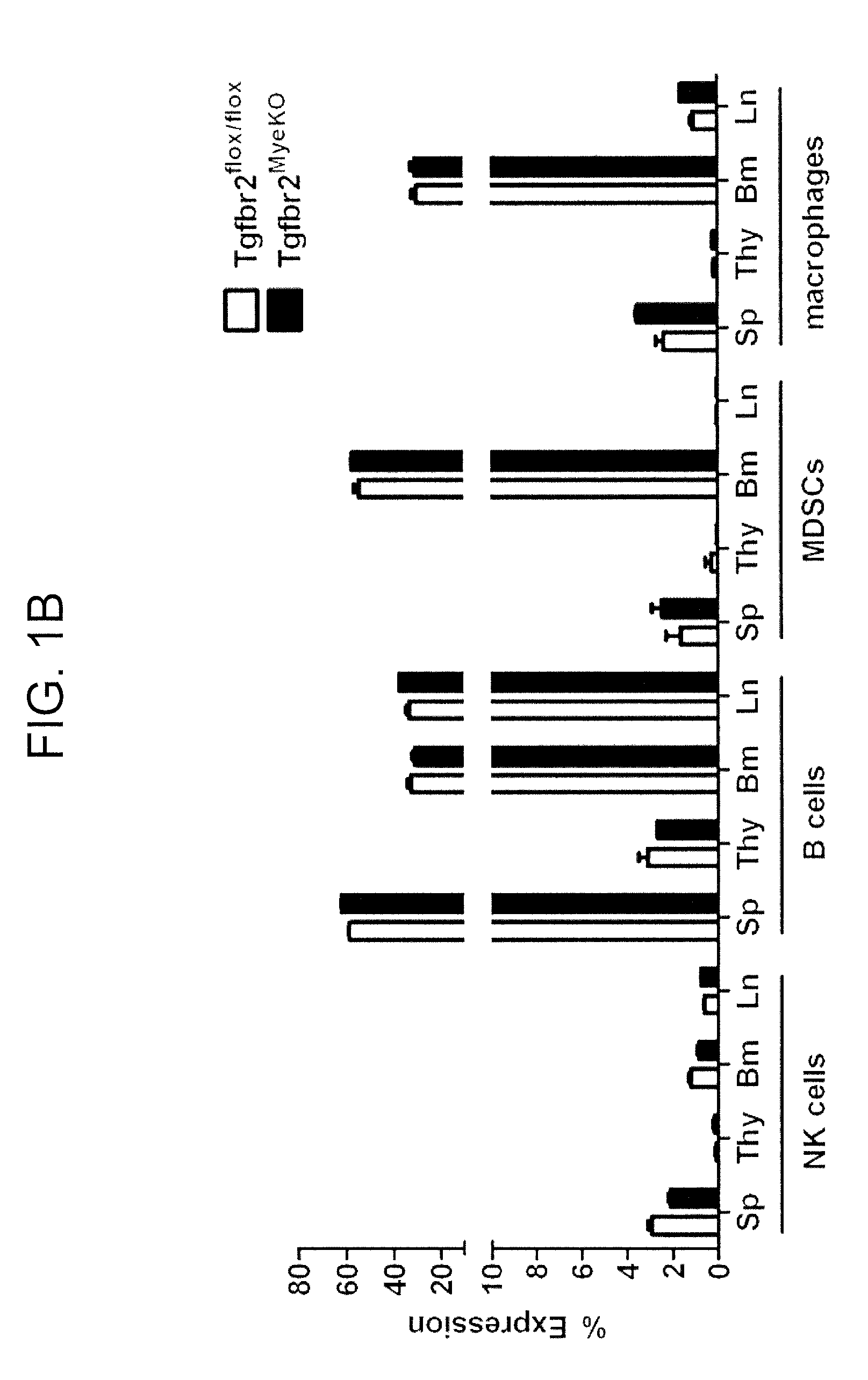 Reduction of TGF beta signaling in myeloid cells in the treatment of cancer