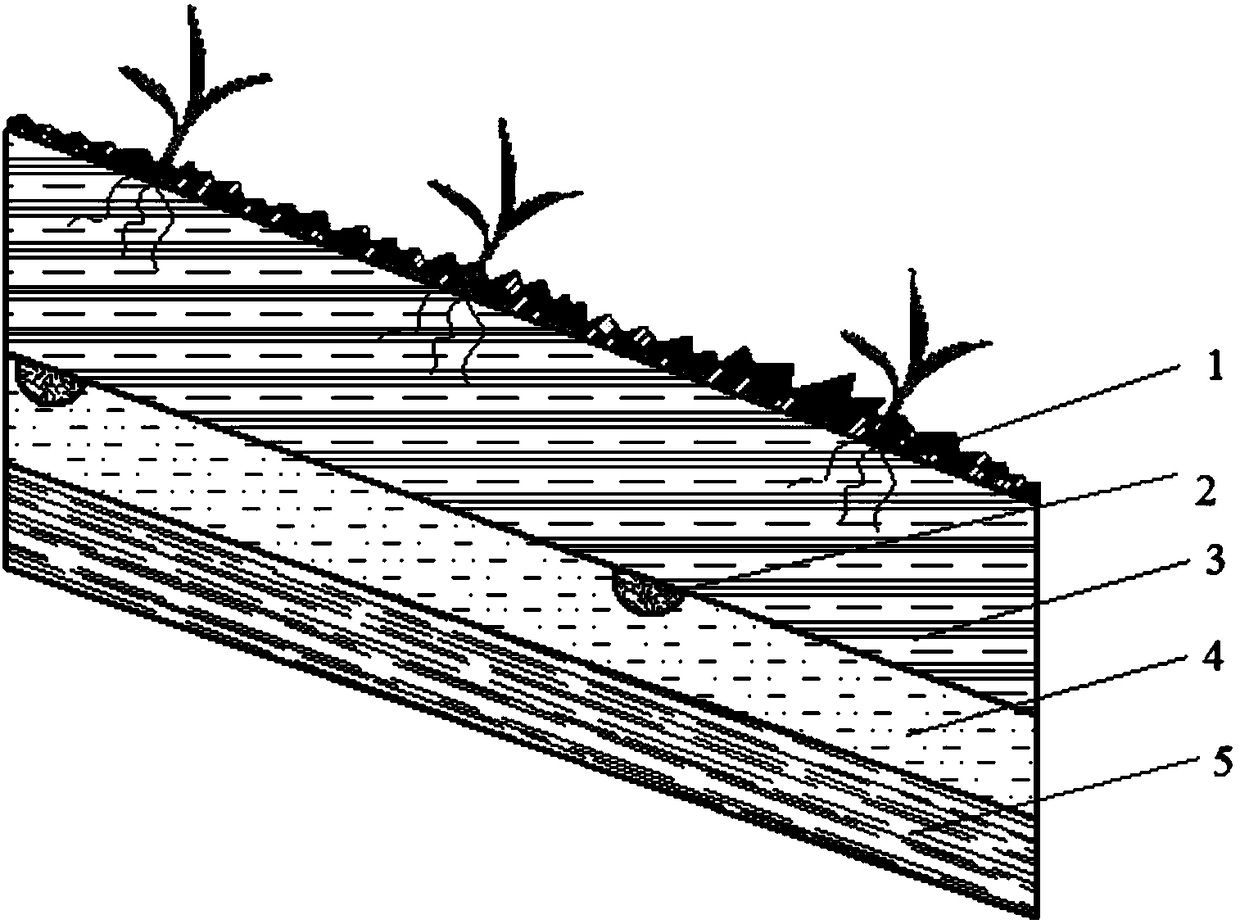 Waste landfill evapotraspiration covering layer based on municipal dehydrated sludge