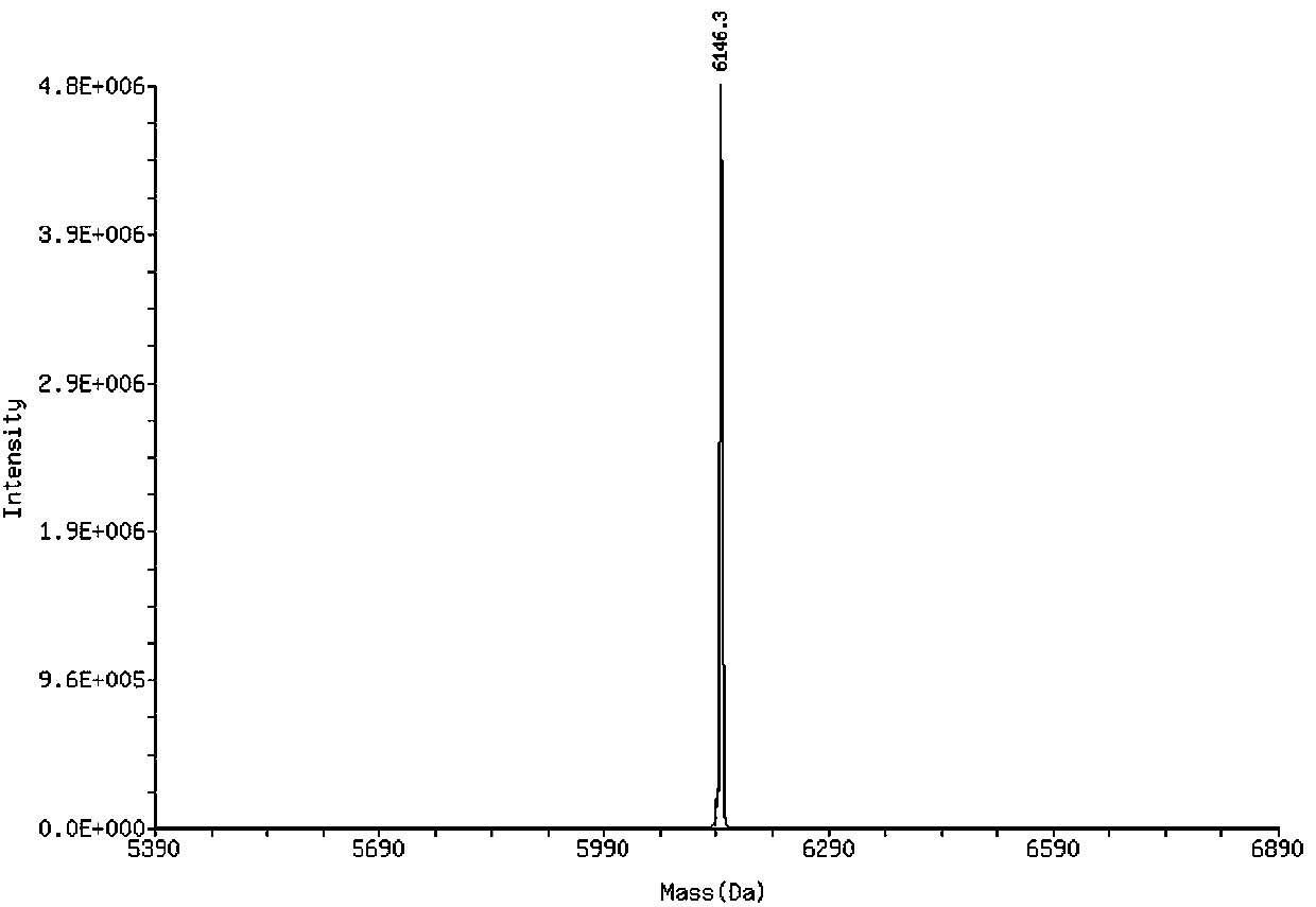 Kit for detecting HSV-2 nucleic acid