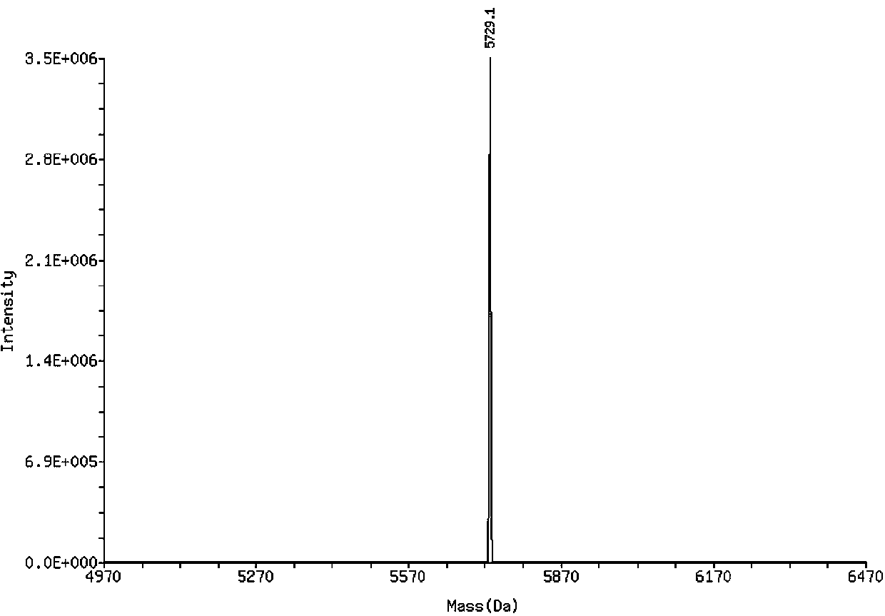 Kit for detecting HSV-2 nucleic acid