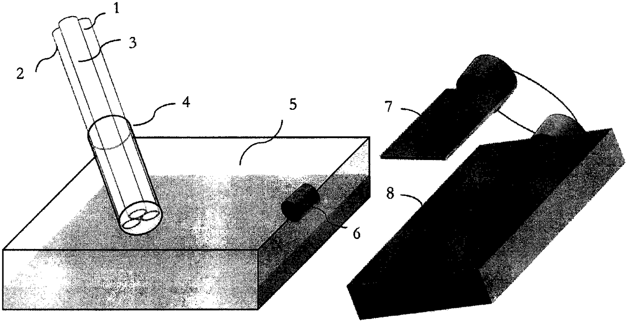 Multifunctional anisotropic fiber, and preparation method using adverse solvent solidification