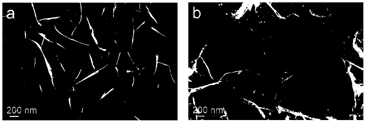 Non-noble metal hydrazine oxidation catalyst based on collaborative modification and preparation method thereof