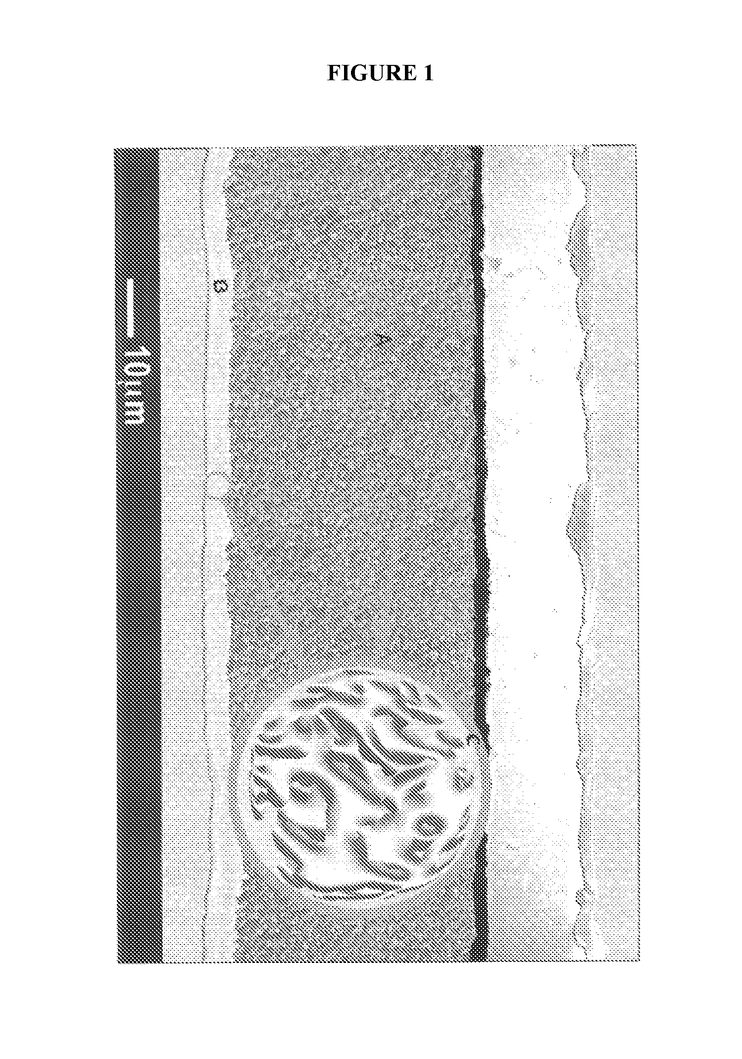 High-energy non-aqueous batteries containing ion-conducting gels, and method for preparing and using same