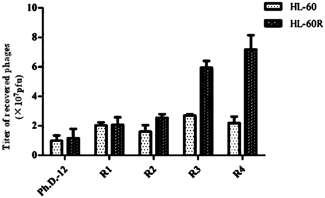 Polypeptide specifically binding to ATRA-resistant acute myeloid leukemia cells and preparation method and application thereof