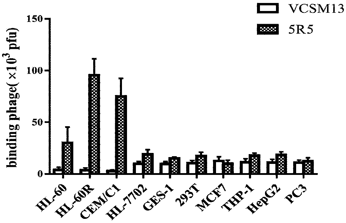 Polypeptide specifically binding to ATRA-resistant acute myeloid leukemia cells and preparation method and application thereof