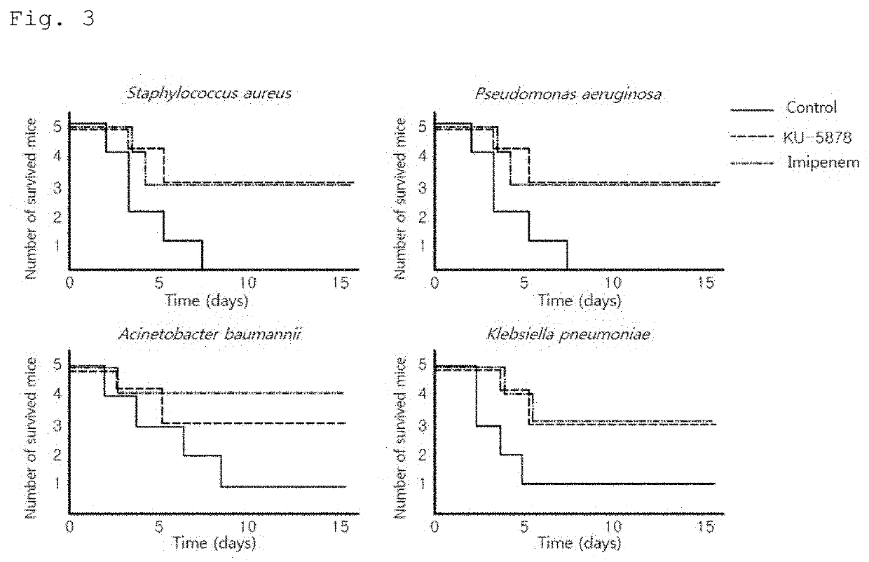 Romo1-derived antimicrobial peptides including lysine substitution and variants thereof