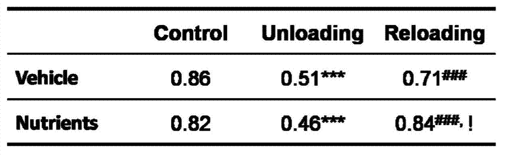 Application of alpha-lipoic acid, acetyl-L-carnitine, coenzyme Q10 and hydroxytyrosol composition for preventing and treating amyotrophy