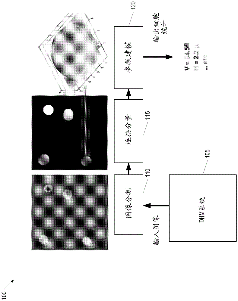 Analyzing digital holographic microscopy data for hematology applications