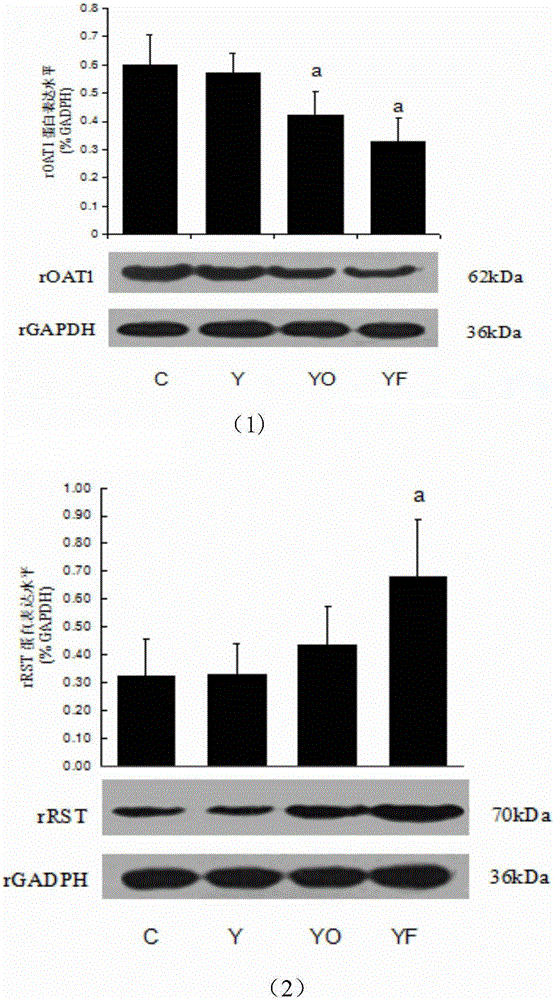 Yeast fructose composition affecting purine metabolism