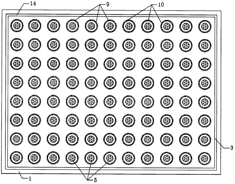 Egg candling method and device in egg incubation