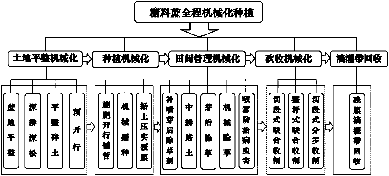 Sugarcane drip irrigation cultivation method based on shallow buried one-time thin-wall drip irrigation tapes