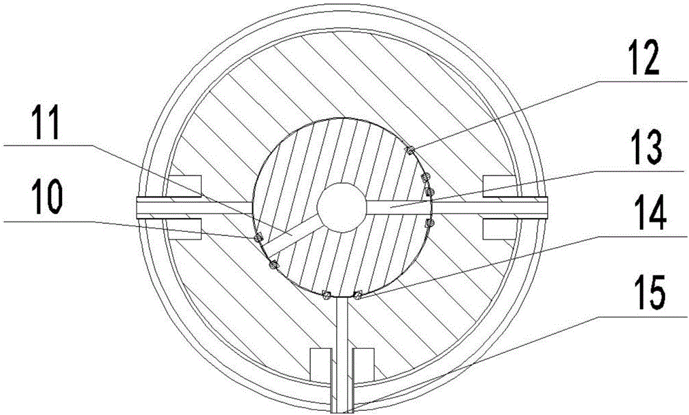 Filter element backwashing device