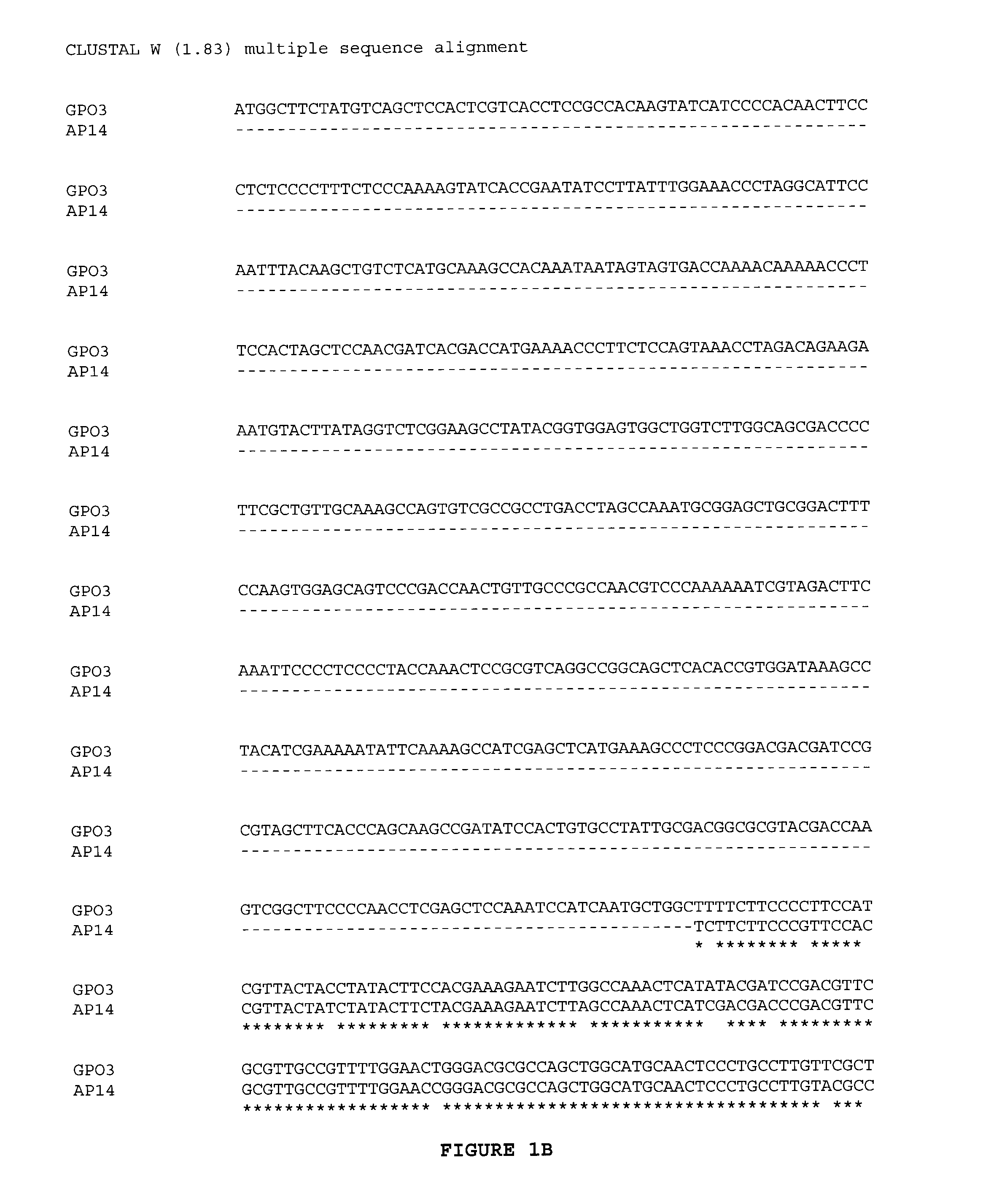 Genetically modified reduced-browning fruit-producing plant and produced fruit thereof, and method of obtaining such