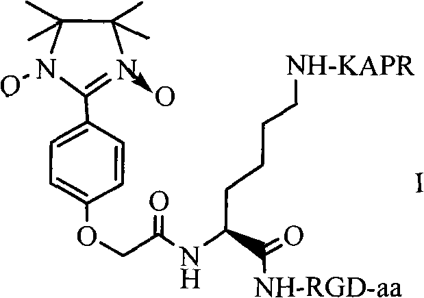 RPAK/imidazolidine/RGD ternary conjugate, preparation method and uses thereof