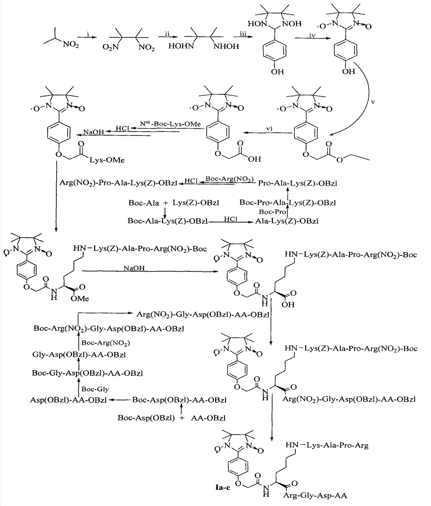 RPAK/imidazolidine/RGD ternary conjugate, preparation method and uses thereof