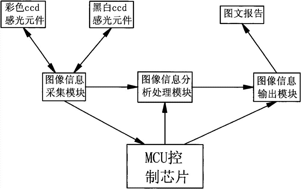 Biological digital microscope with double ccd (charge coupled device) light sensitive elements and photographic image processing method thereof