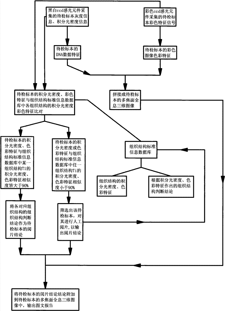 Biological digital microscope with double ccd (charge coupled device) light sensitive elements and photographic image processing method thereof