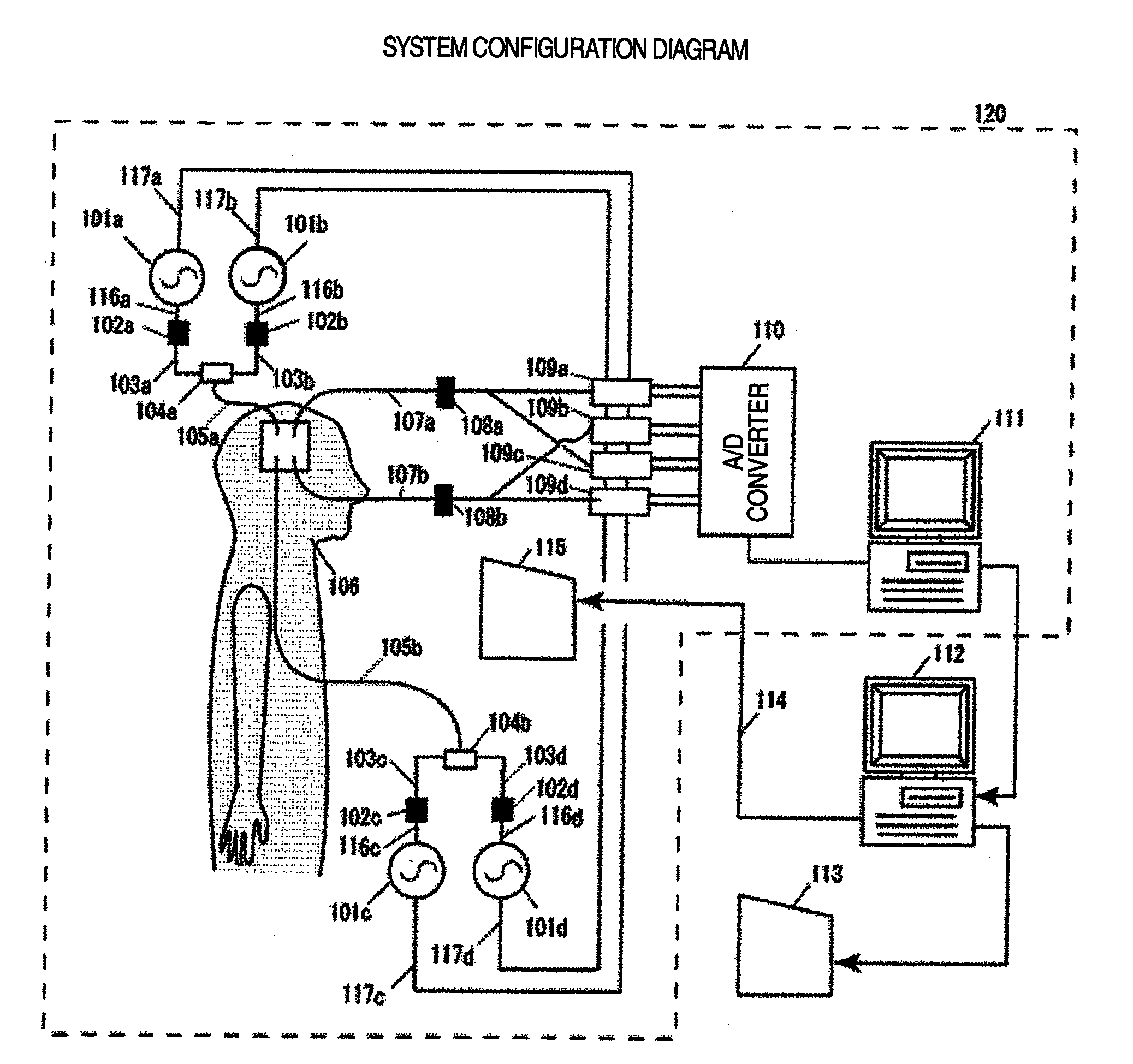 Biological measurement system