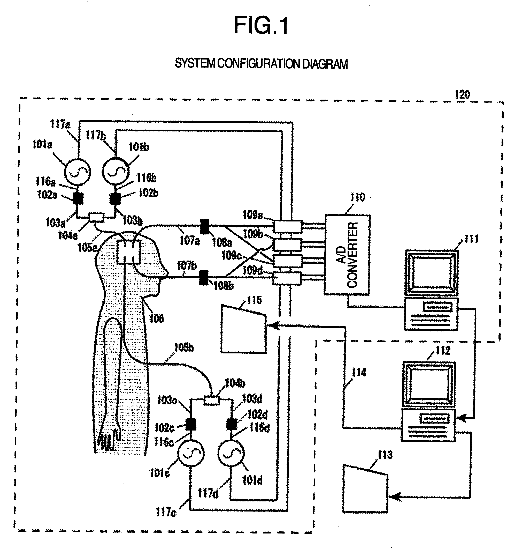 Biological measurement system