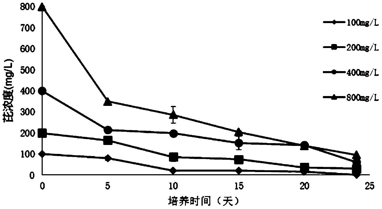 A strain of Pantoea degrading polycyclic aromatic hydrocarbons organic pollutants