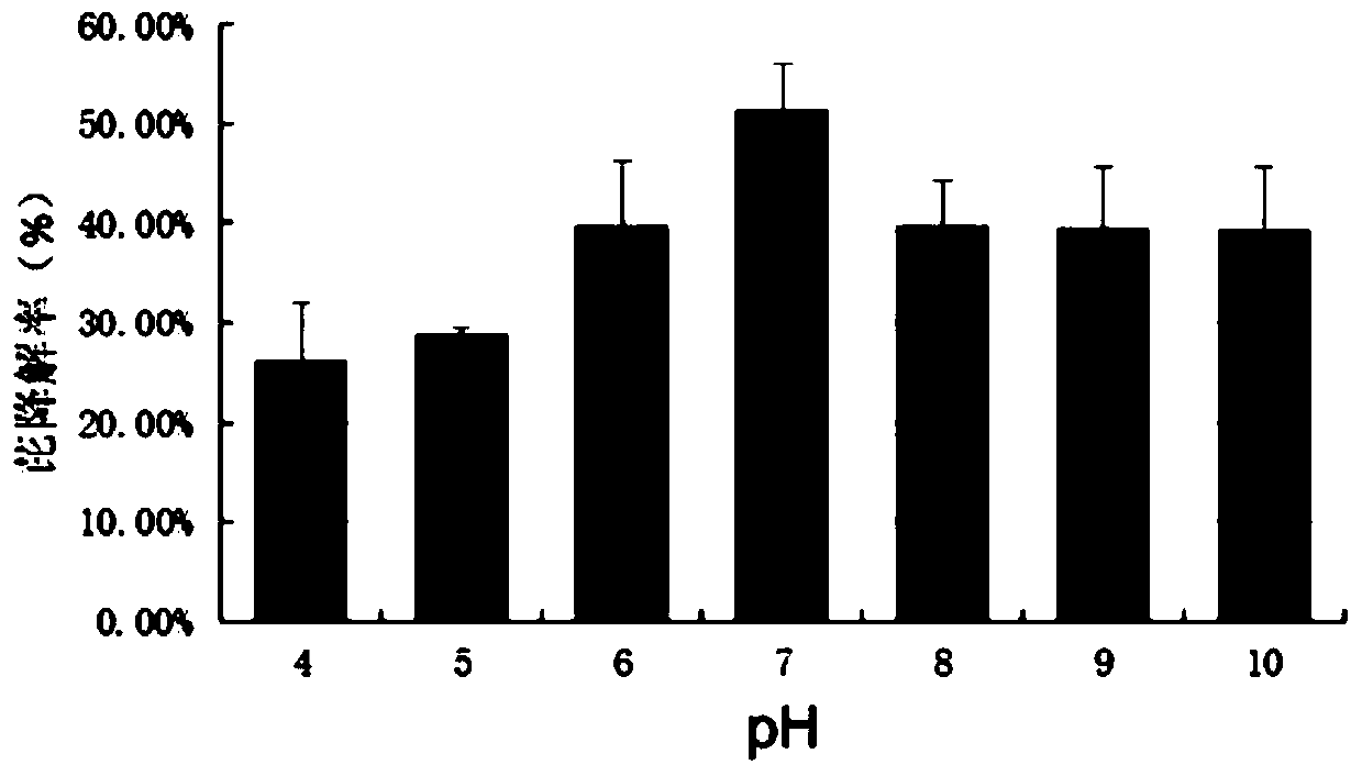 A strain of Pantoea degrading polycyclic aromatic hydrocarbons organic pollutants