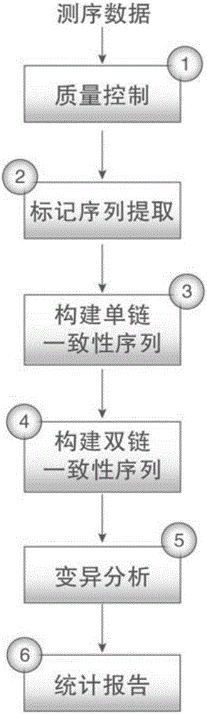 Duplex-seq-based ultralow-frequency mutation site detection analysis method