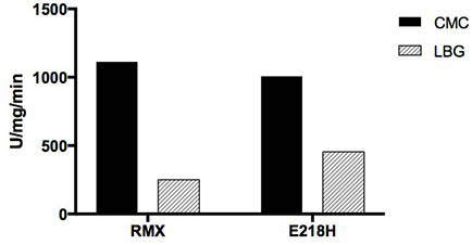 A method for improving the mannanase activity of bifunctional cellulase, cellulase mutant rMX-m and its application