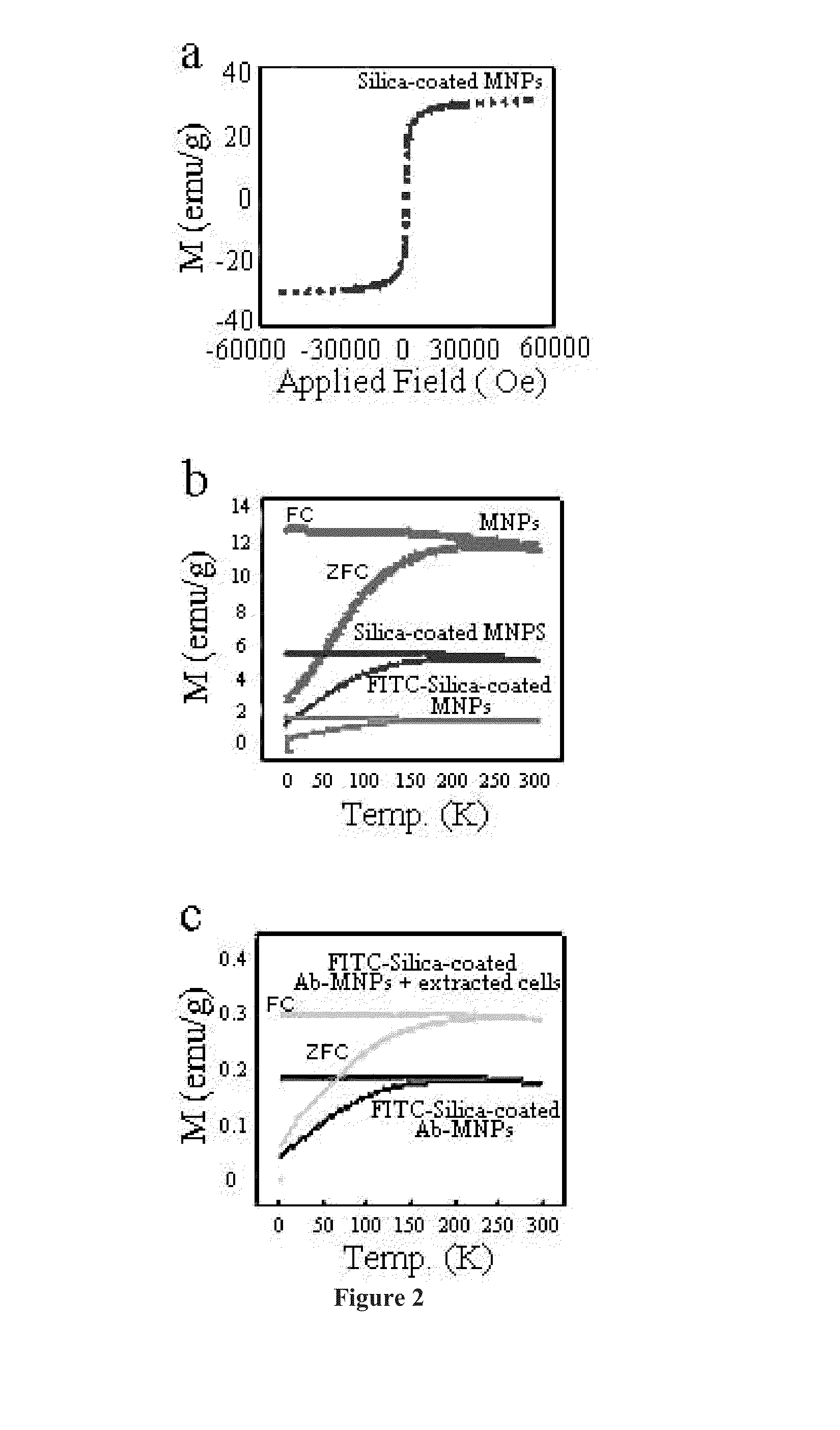 Method of extracting neural stem cells using nanoparticles