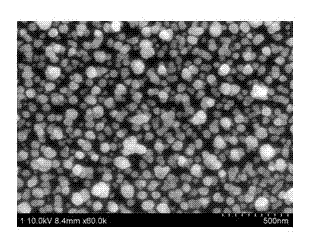 Three-dimensional metal-graphene composite substrate and preparation method thereof