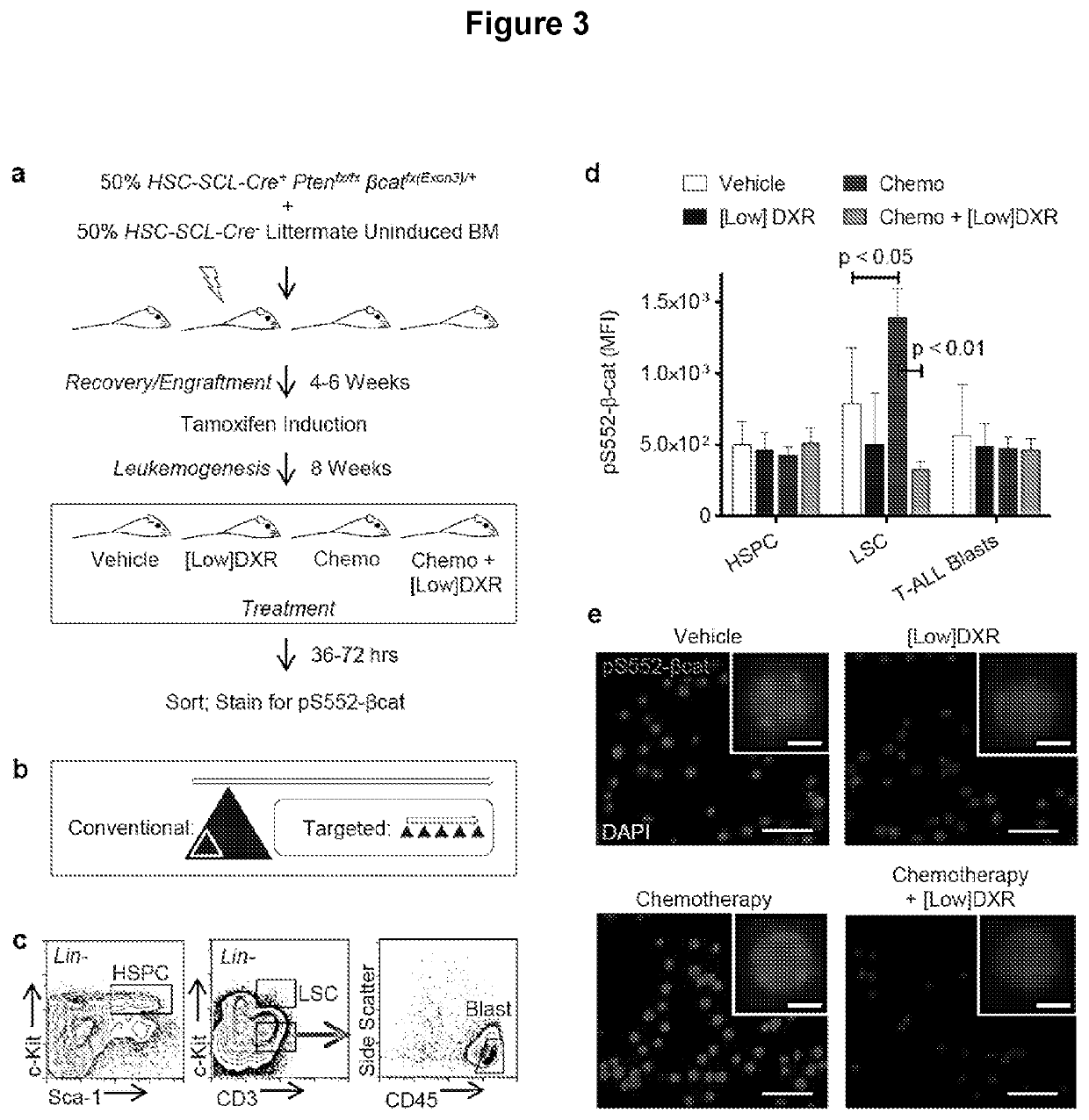 Methods for treating chemoresistant cancer-initiating cells