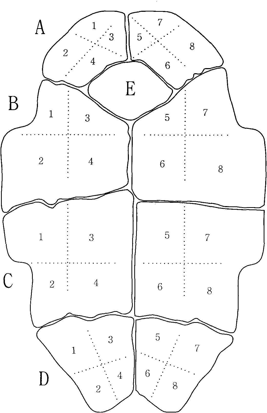 Tortoise shell fragment conjugating method based on image processing