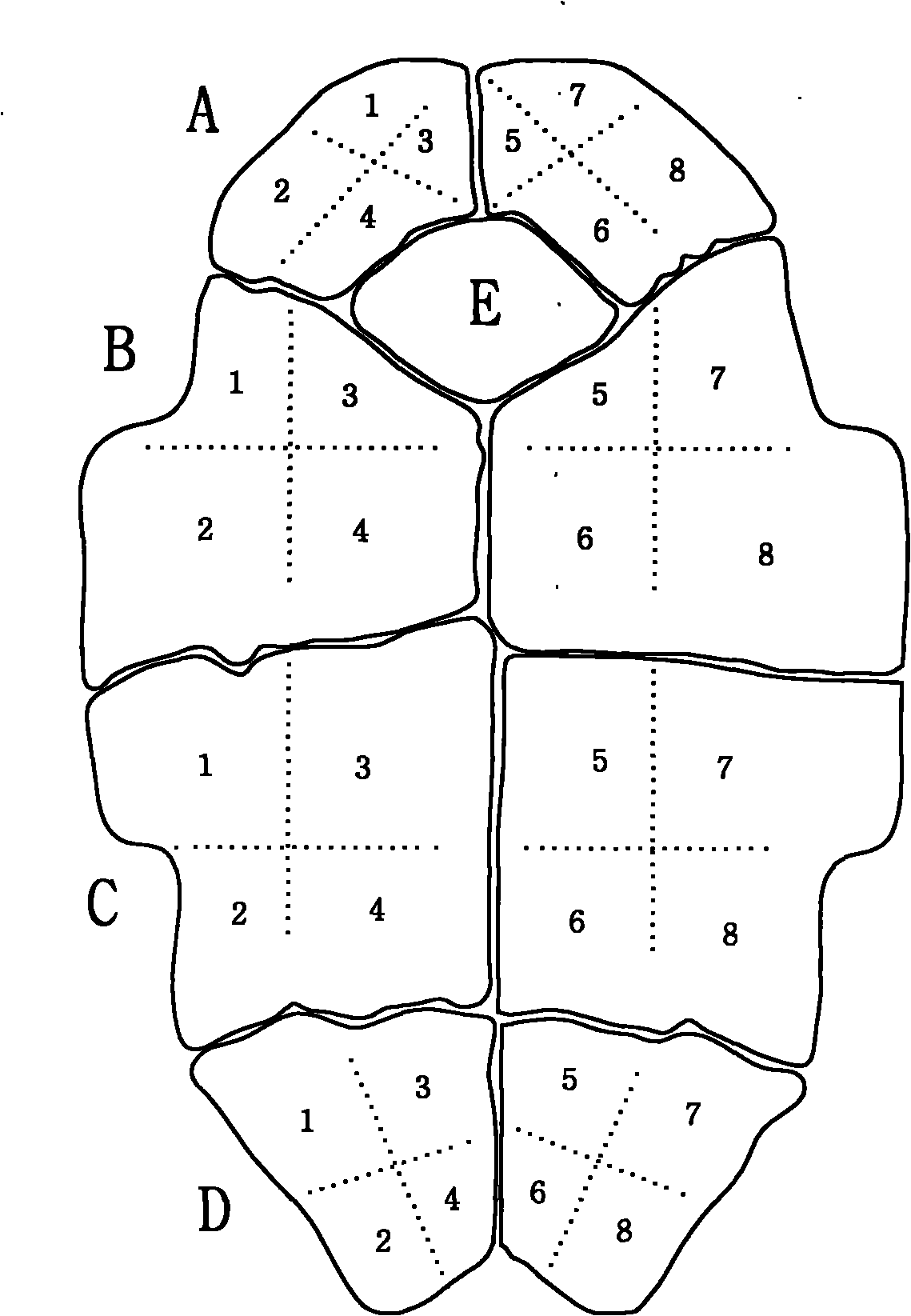 Tortoise shell fragment conjugating method based on image processing