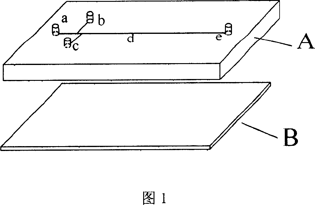 Micro-total analysis system non-contact electric conductivity detecting method and apparatus