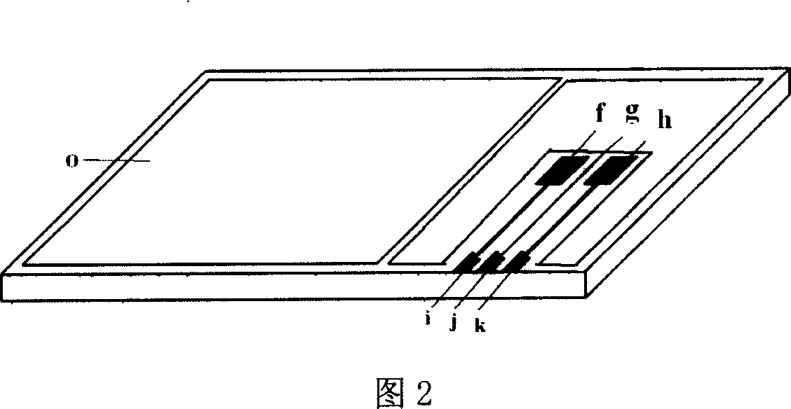 Micro-total analysis system non-contact electric conductivity detecting method and apparatus