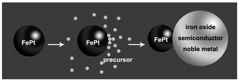 A method for the construction of nanoheterostructures based on platinized iron nanoparticles