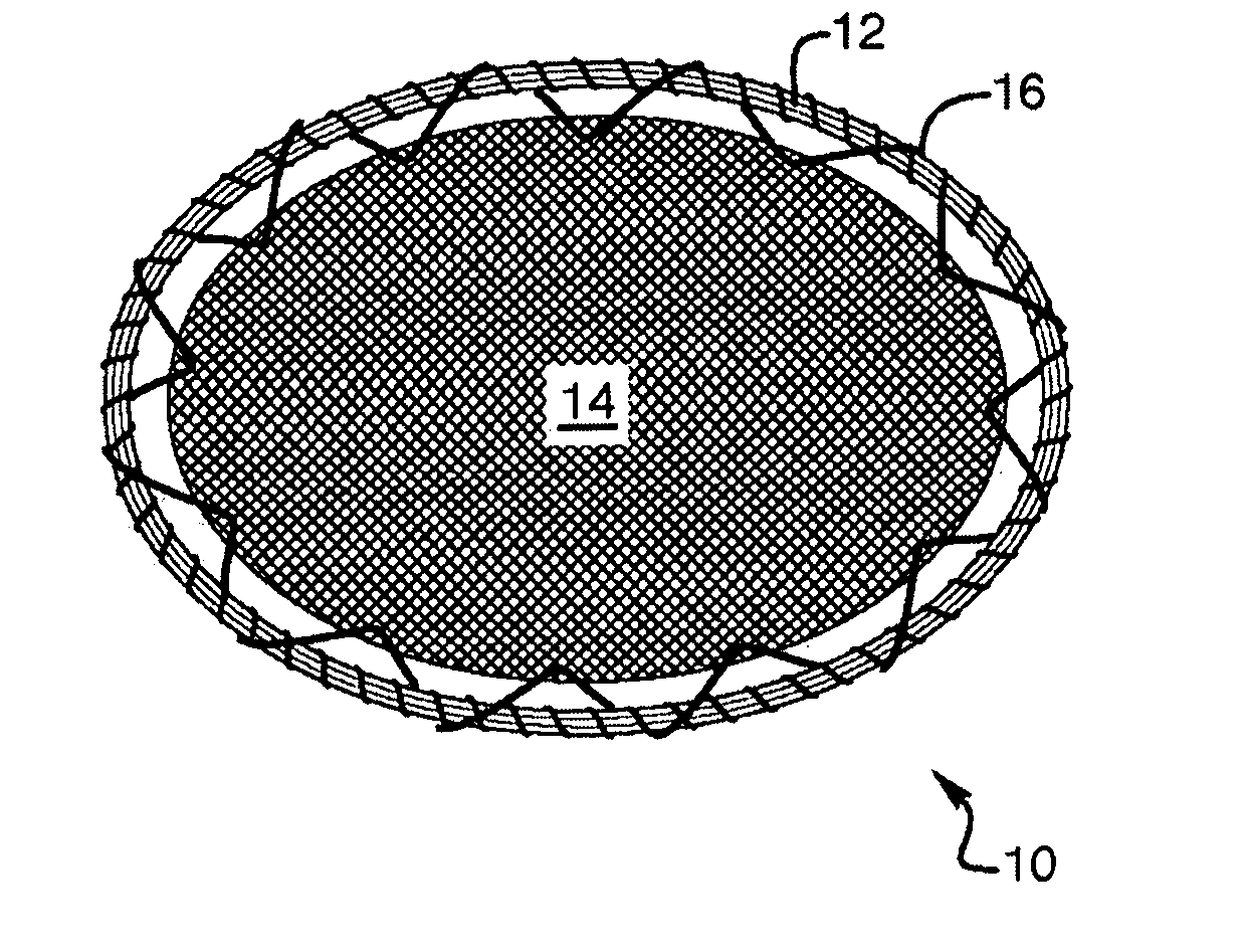 Patch for endoscopic repair of hernias