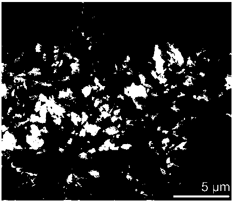 Cotton-shaped nitrogen-doped carbon silicon composite electrode material and in-situ preparation method thereof