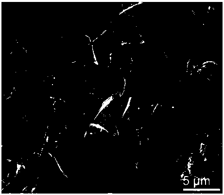 Cotton-shaped nitrogen-doped carbon silicon composite electrode material and in-situ preparation method thereof