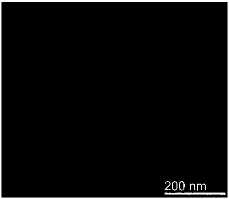 Cotton-shaped nitrogen-doped carbon silicon composite electrode material and in-situ preparation method thereof