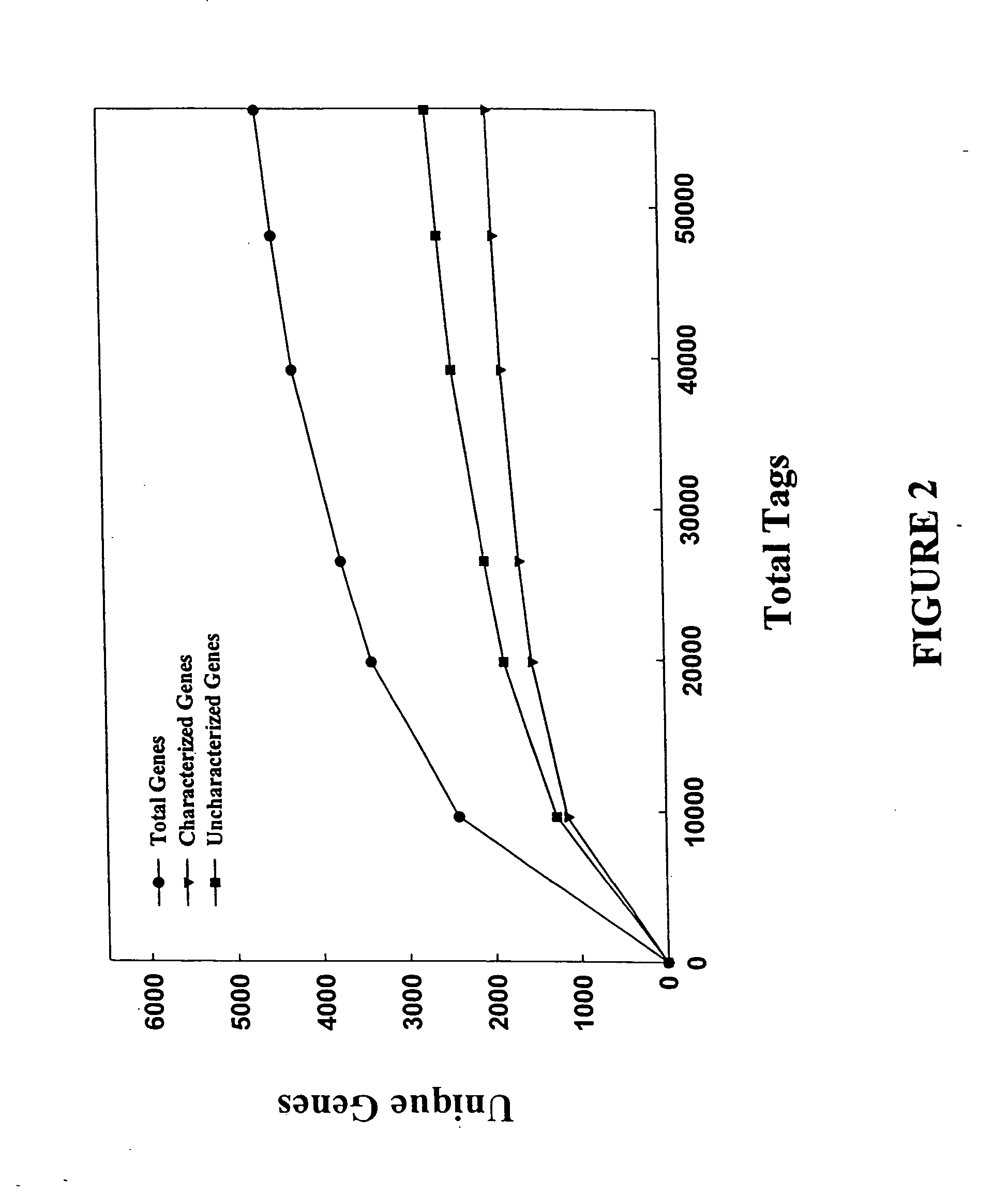 Characterization of the yeast transcriptome