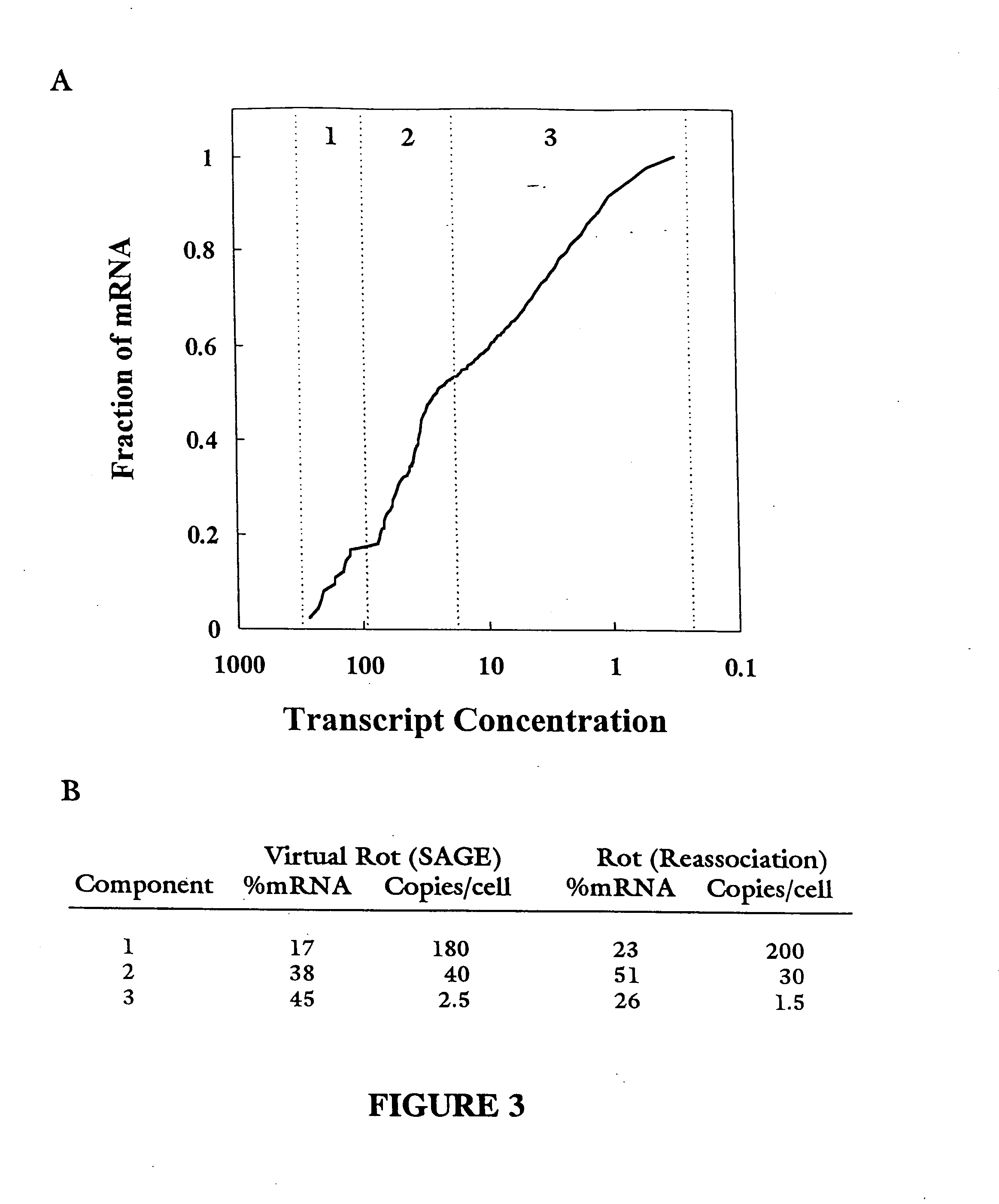 Characterization of the yeast transcriptome