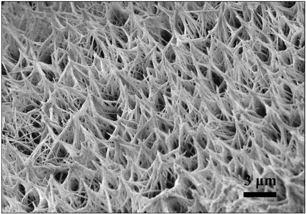 Tetracobalt trisulfide nanometer hollow tube@foam nickel composite array material and preparation method and application thereof