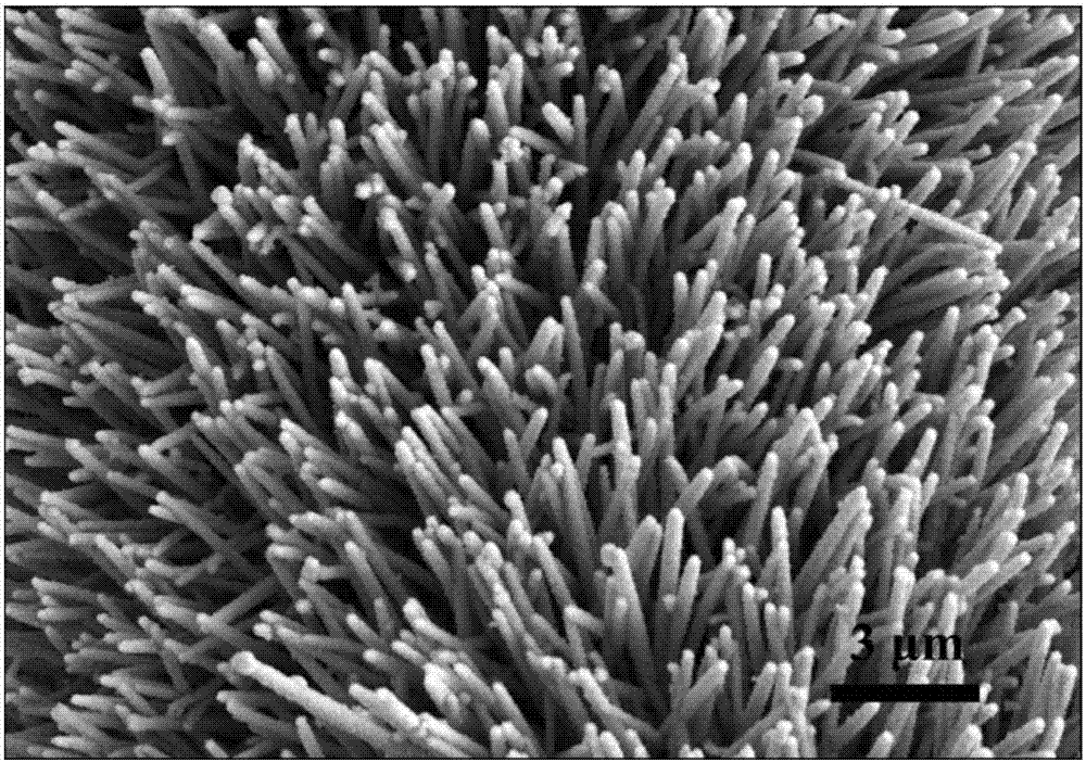 Tetracobalt trisulfide nanometer hollow tube@foam nickel composite array material and preparation method and application thereof