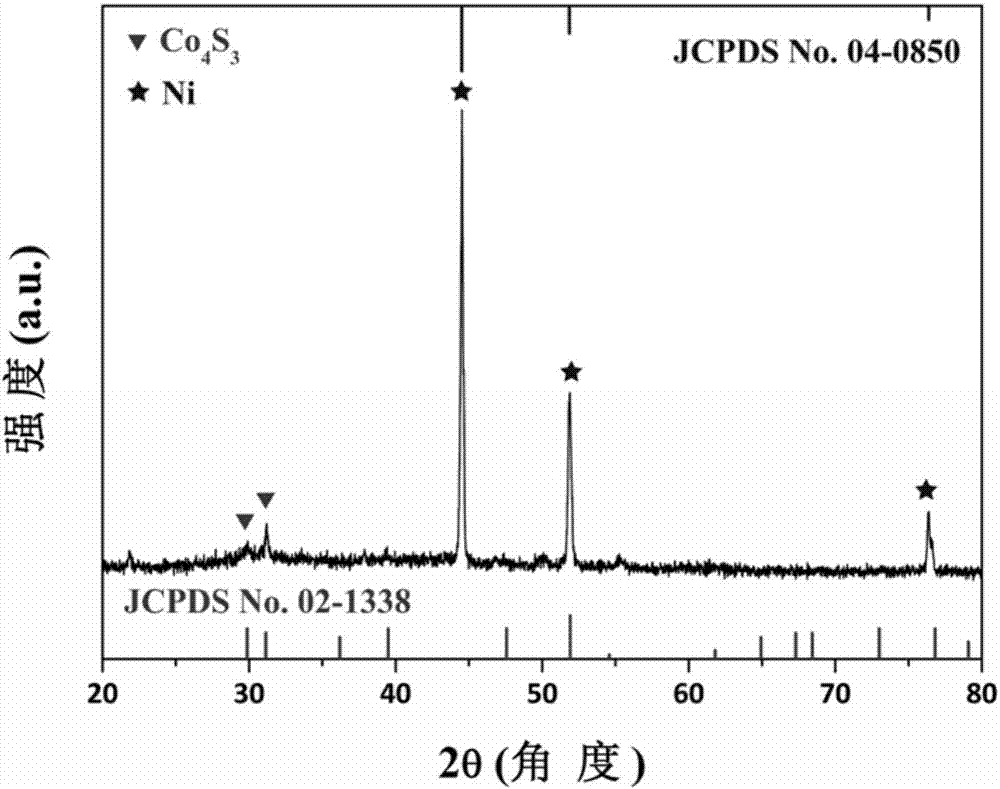 Tetracobalt trisulfide nanometer hollow tube@foam nickel composite array material and preparation method and application thereof