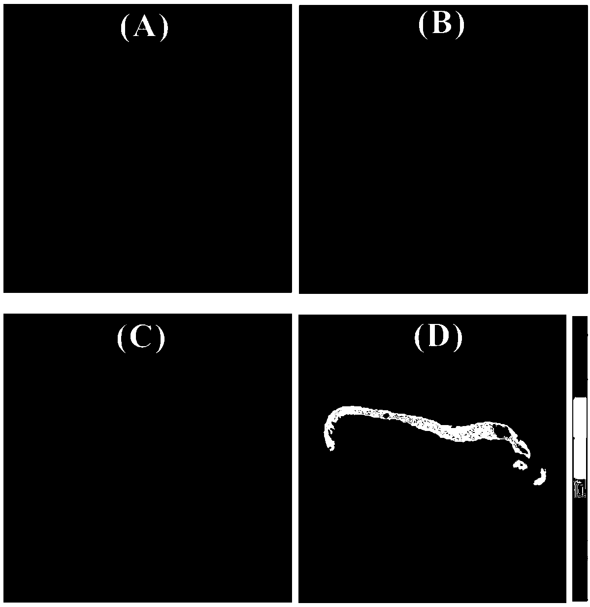 Method for measuring aquatic organism intestinal tract pH (potential of hydrogen) based on nano-fluorescent dyes