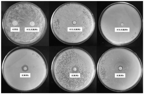 Functional mulberry leaf oligosaccharide and preparation method and application thereof